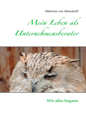 cover image of Mein Leben als  Unternehmensberater